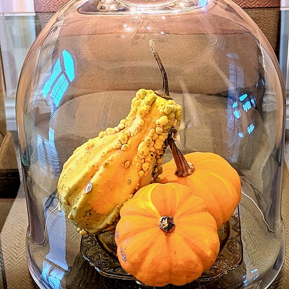 Bell shape glass dome 12" X 10.5" - Picture 10 of 10